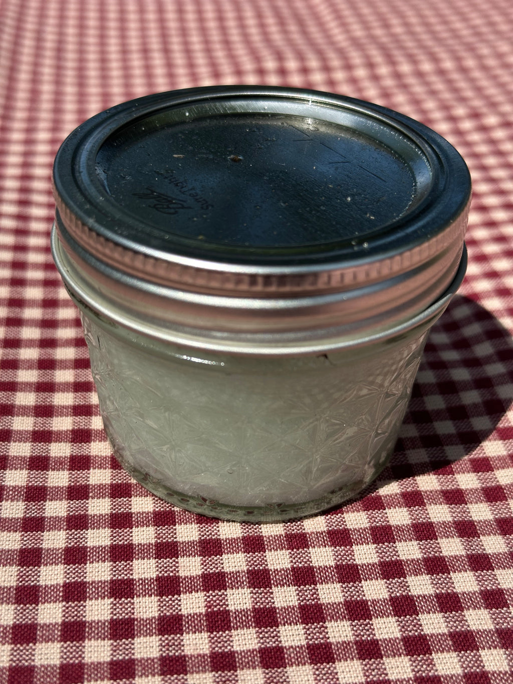 Salt Scrubs - Small
